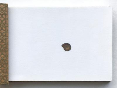 Ammonite-book-p1