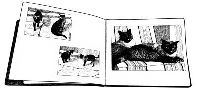10-cat-album-shaded-2